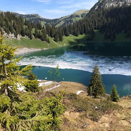 Отель Tom's Point Erlenbach im Simmental