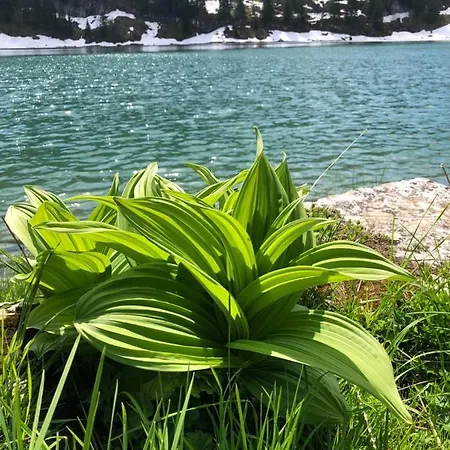 Tom's Point