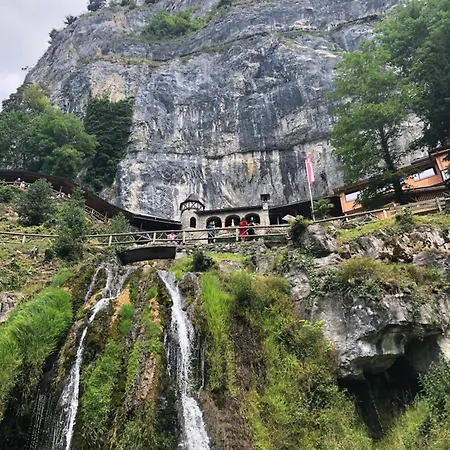 Tom's Point Ferienhaus *
